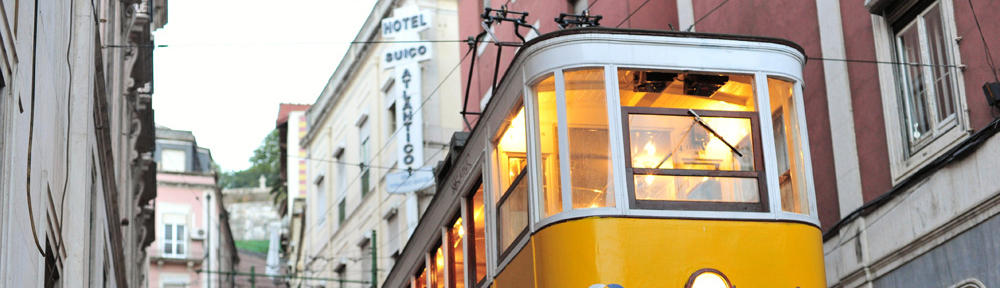 Neighborhood Dreamer